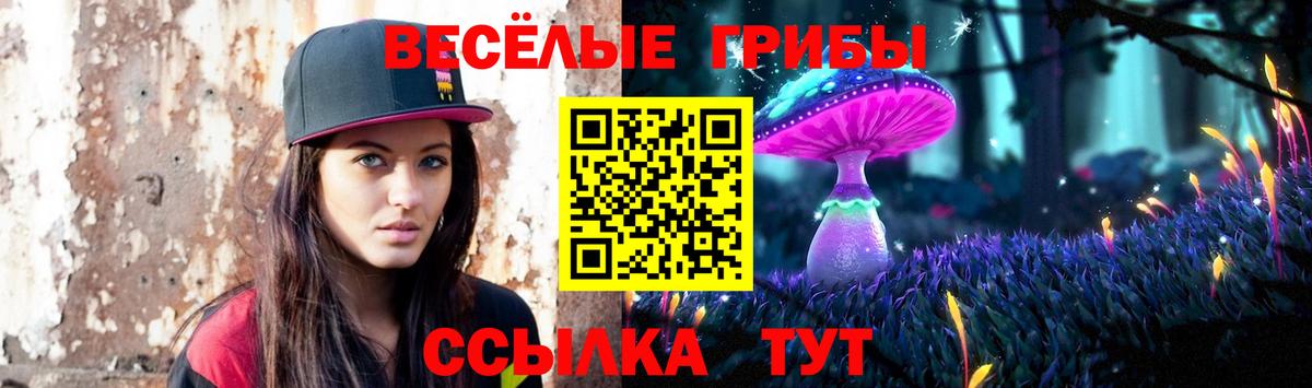 Богородицк  Галлюциногенные грибы Magic Shrooms  Вход с VPN 