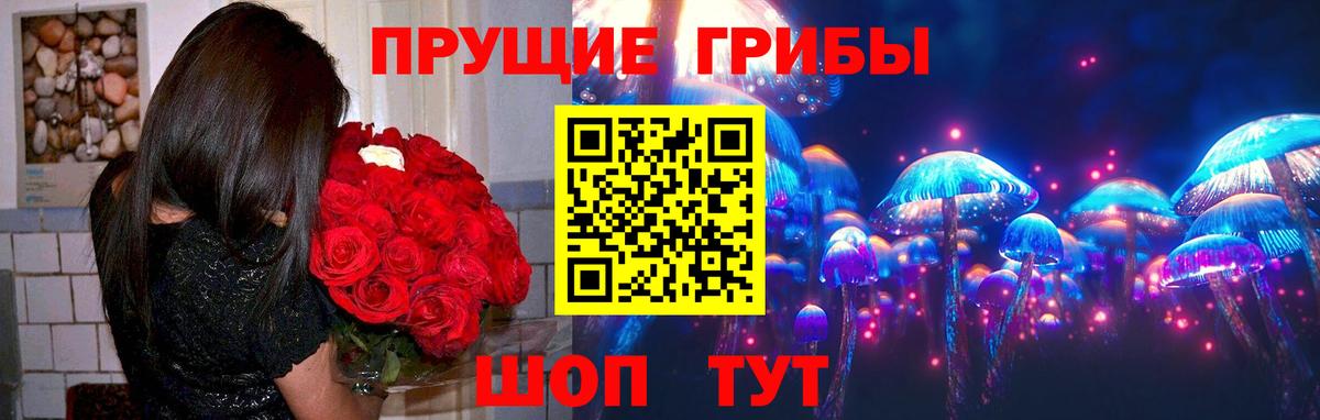 Галлюциногенные грибы Cubensis Богородицк